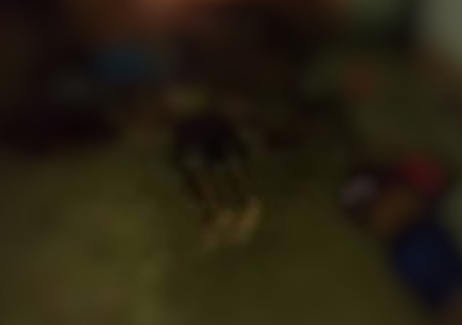 Chacina em bar deixa cinco jovens mortos e um gravemente ferido