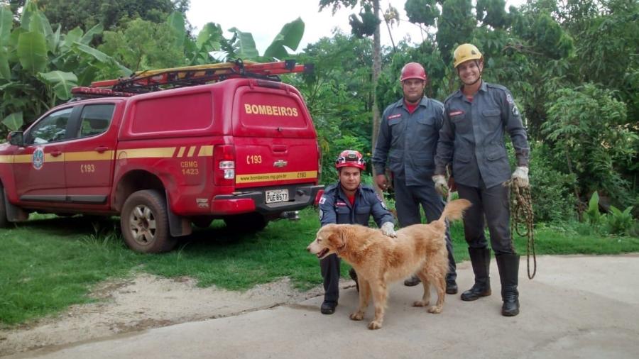 Cadela com deficiência visual é resgatada após cair de uma altura de dez metros