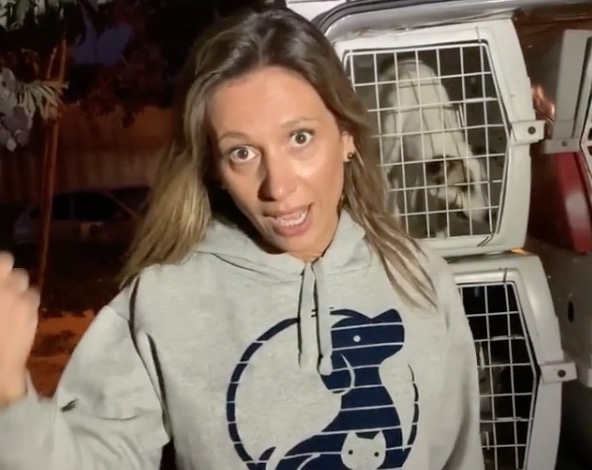 'Não adianta chorar pelo pitbull e comer Peru' no natal, diz ativista