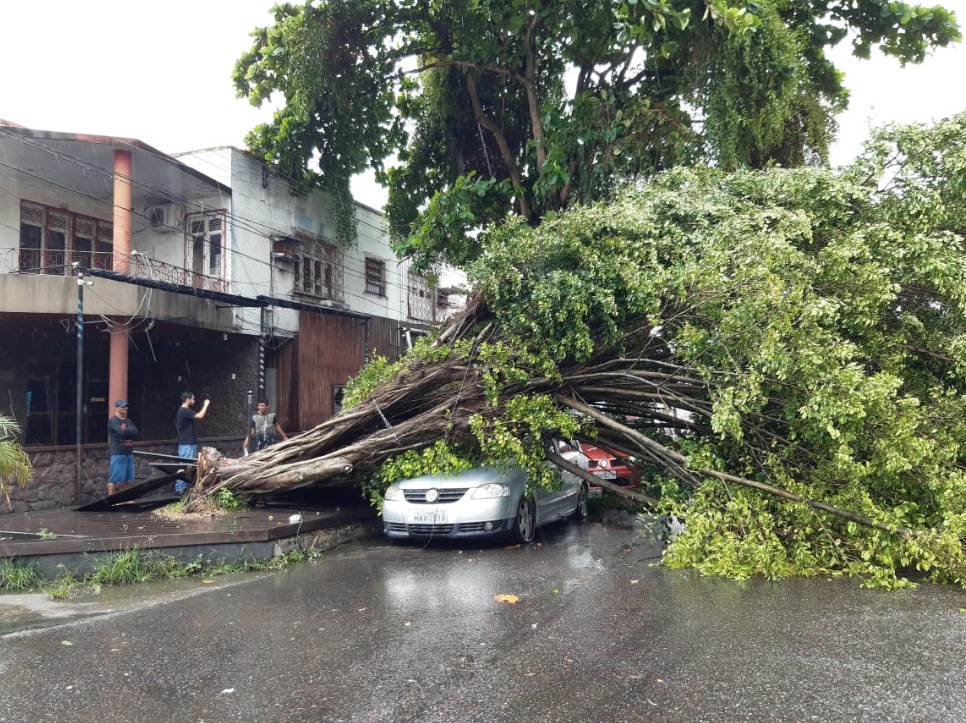 Árvore cai em cima de carro e deixa trânsito lento no Centro de Manaus 