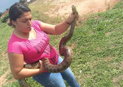 Dona de casa é mordida ao capturar sucuri; Veja Vídeo 