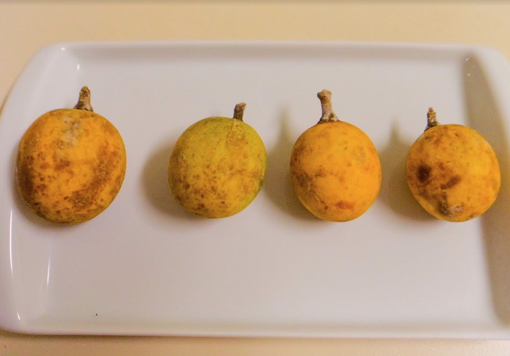 Fruto nativo da Amazônia tem três vezes mais vitamina C que a laranja; saiba qual