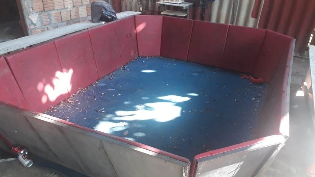 16 homens são presos por participarem de rinha de galos no Amazonas