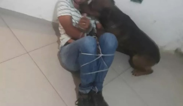 Homem não aceita separação e amarra sogro para ser atacado por pitbull 