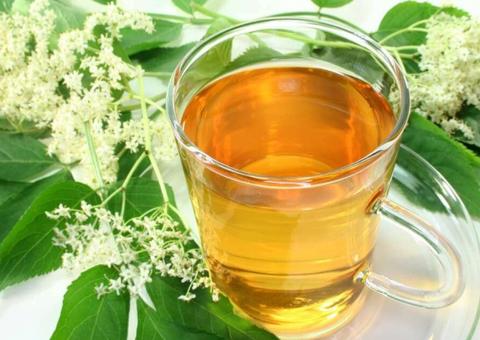 Chá de boldo é potente no combate à ressaca