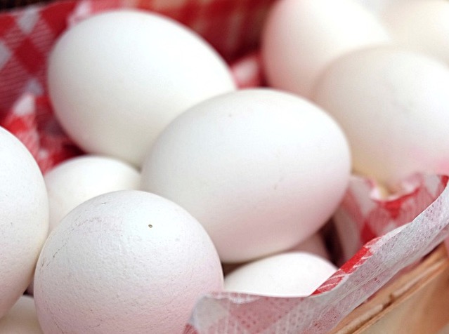 Veja alimentos que podem te fazer perder gordura e ganhar massa muscular