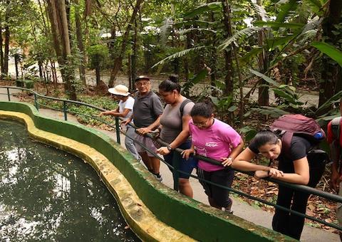 Bosque da Ciência em Manaus será reaberto na próxima semana