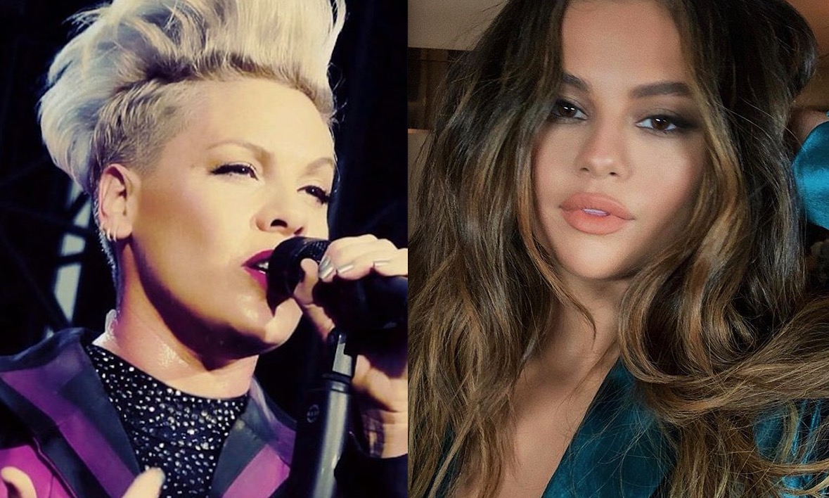 Pink faz doação de R$ 2 milhões para combate de incêndio na Austrália