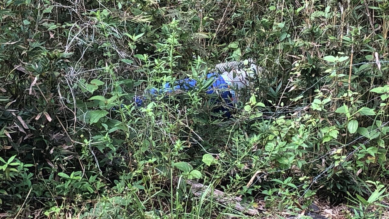 Corpo de mulher supostamente grávida, é encontrado com 3 tiros na cabeça em Manaus