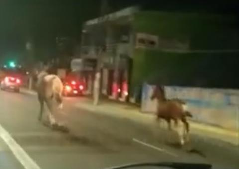 Cavalos fogem e quase são atropelados em avenida movimentada de Manaus; veja vídeo