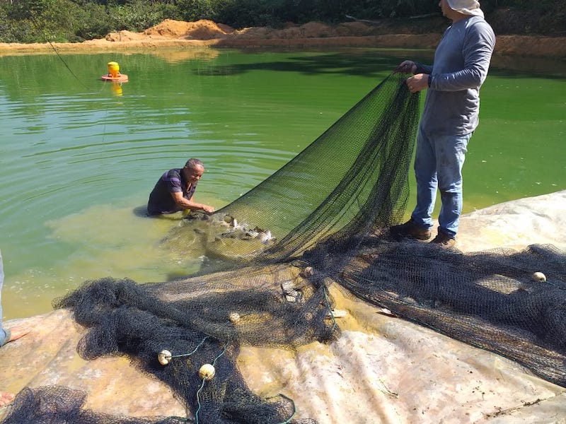 Pesca sustentável investe R$ 719 mil para atender 800 famílias no Amazonas