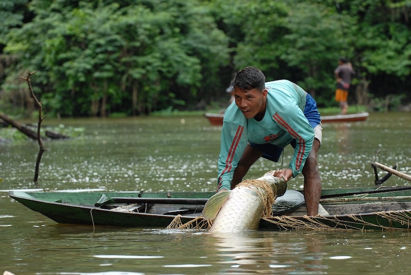 Investimentos no setor primário do Amazonas estão limitados a R$ 17 milhões