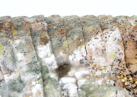 Consumo de alimento vencido pode causar intoxicação séria