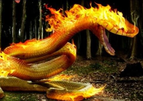 Bloco da Cobra Grande vai sacudir Clube da Assinpa neste carnaval