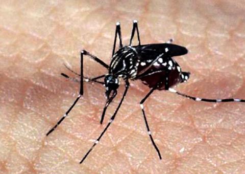 Presidente do Paraguai está com dengue; país enfrenta epidemia