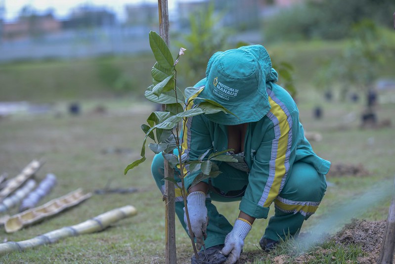 Ação leva mudas de plantas e faz coleta de livros na zona Norte de Manaus