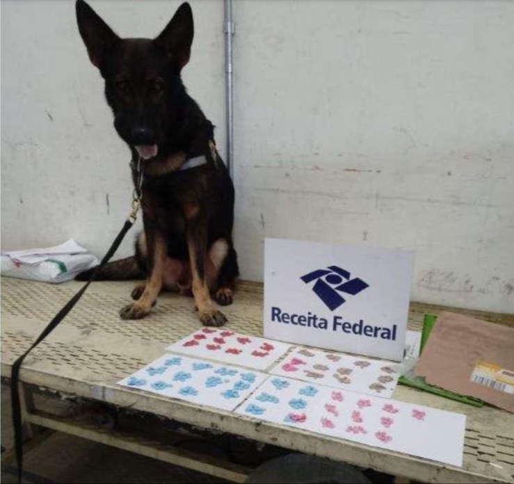 Receita Federal apreende livro de direito recheado de drogas em Manaus