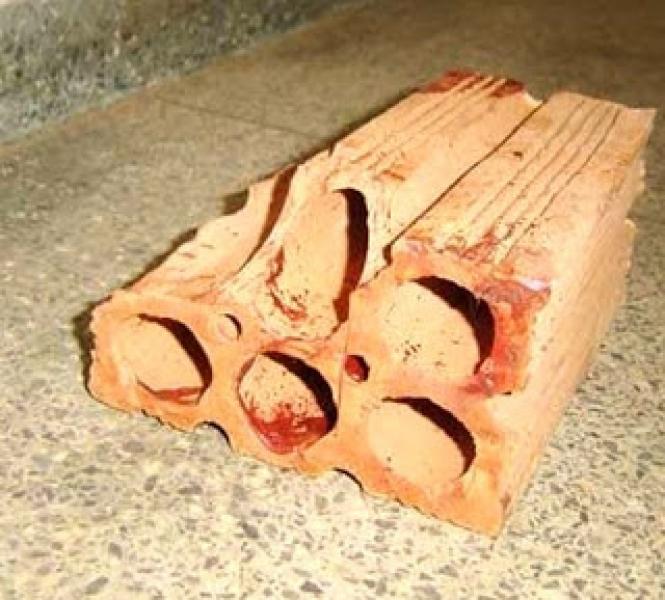 Adolescente mata homem a tijoladas após tentativa de estupro