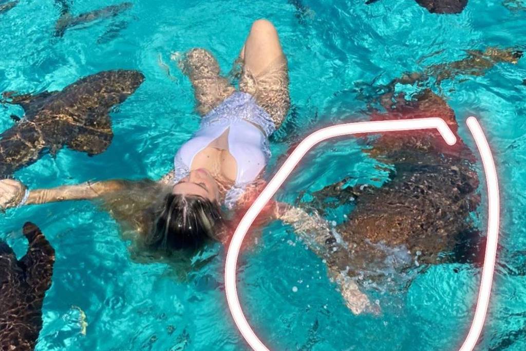 Blogueira é mordida por tubarão ao fazer foto no meio dos animais nas Bahamas