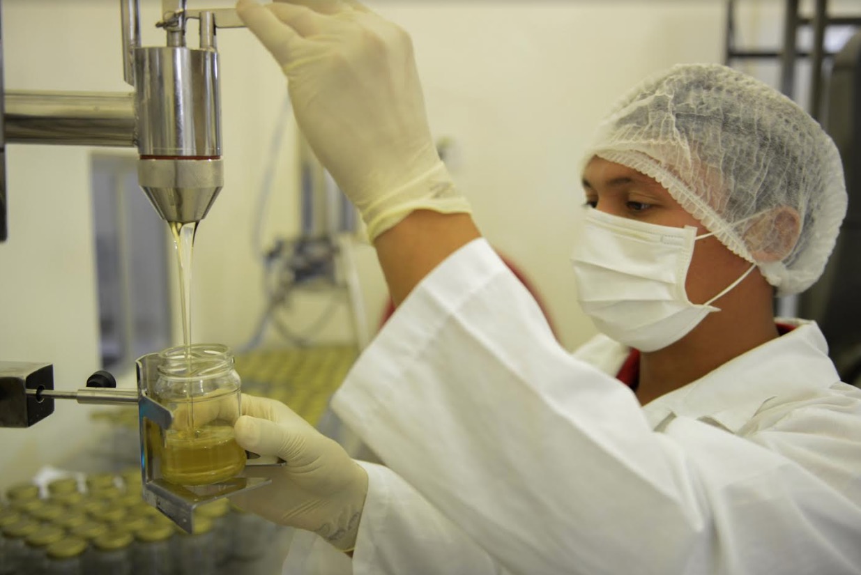 Amazonas quer inserir cinco plantas fitoterápicas na rede SUS