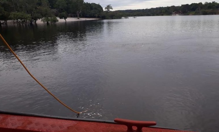 Seis crianças desaparecidas há dois dias na mata são encontradas no Amazonas