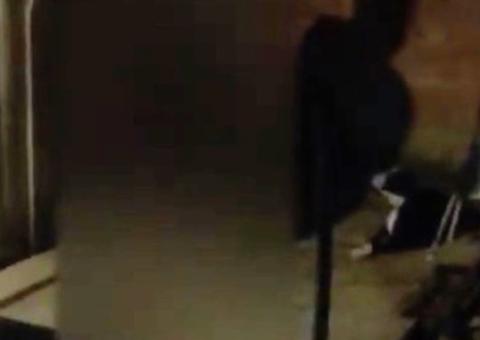  Cachorro é amarrado e torturado por homem em quintal de residência em Manaus