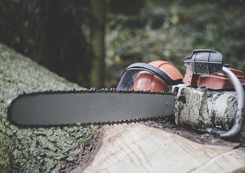 PSOL vê crime de responsabilidade nas respostas do MMA sobre desmatamento