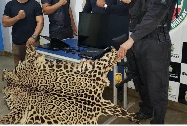 Homens são presos com pele de onça-pintada e produtos roubados no Amazonas