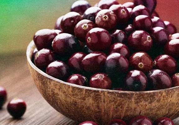 Cinco plantas amazônicas devem entrar para lista de fitoterápicos do SUS até 2022