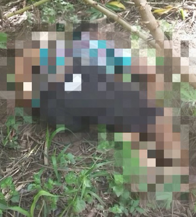 Irmão é suspeito de matar o outro com tiro de espingarda após briga de família no Amazonas 