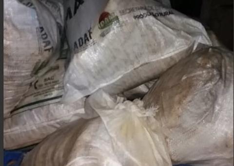 No Amazonas, polícia apreende uma tonelada de pirarucu ilegal