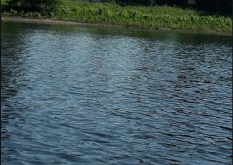 Mulher e netos de 3 e 5 anos morrem após canoa afundar no Amazonas 