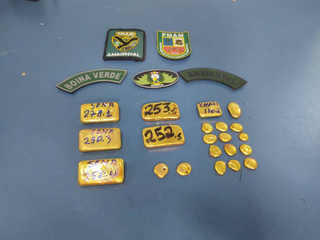 Pescado ilegal e ouro avaliado em R$ 360 mil são apreendidos em embarcação de Manaus 