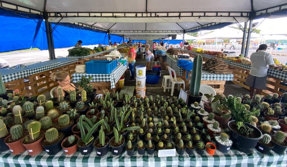 I Feira de Sustentabilidade com produtos naturais abre nesta sexta na Nilton Lins