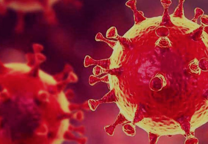 Veja 10 'fake news' sobre métodos caseiros no Brasil que combatem coronavírus 