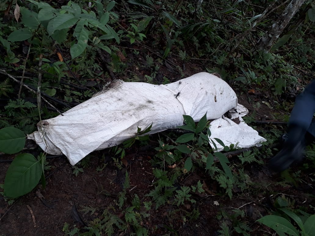 Corpo em decomposição é encontrado dentro de saco em ramal de Manaus 