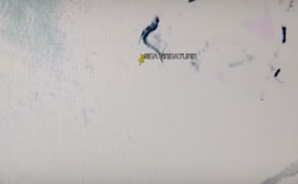 Sereia é encontrada por internauta através de imagens do Google