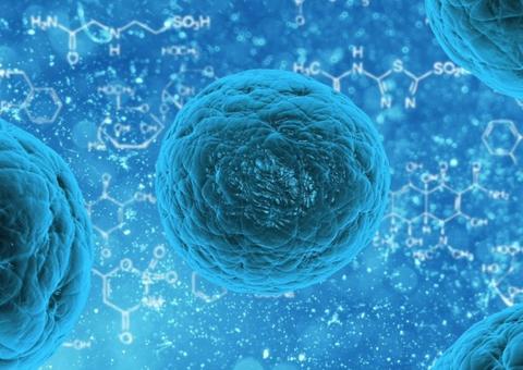 Cientistas identificam proteína que transporta o novo coronavírus