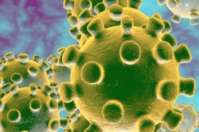 Primeiro caso de coronavírus é confirmado no Nordeste do Brasil