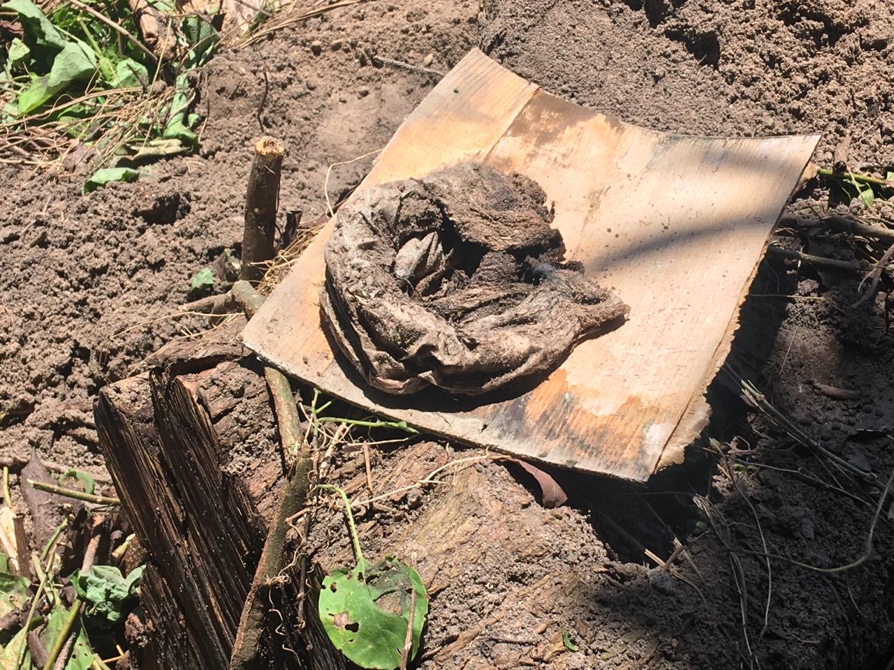 Em Manaus, pedreiros levam susto ao encontrarem ossada durante obra 