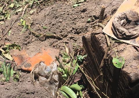 Em Manaus, ossada encontrada por pedreiros era de cachorro 