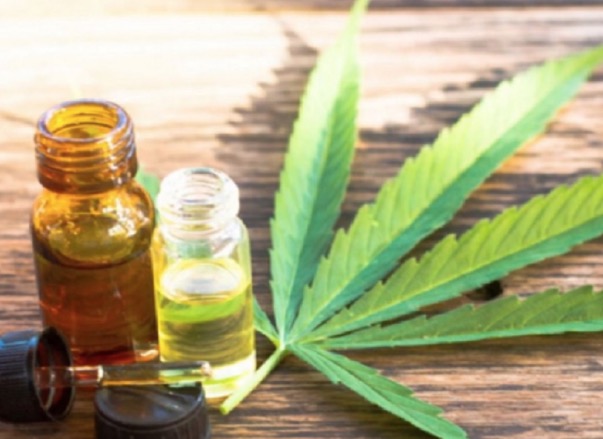 Venda autorizada de produtos derivados da cannabis entra em vigor