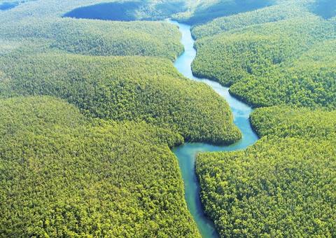 Floresta amazônica pode entrar em colapso em 50 anos, diz especialista