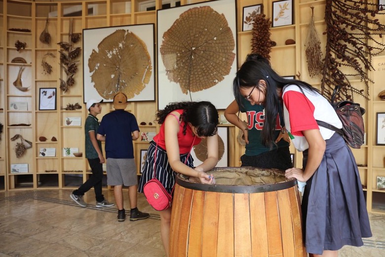 Projeto leva adolescentes de centro social ao Museu da Cidade em Manaus