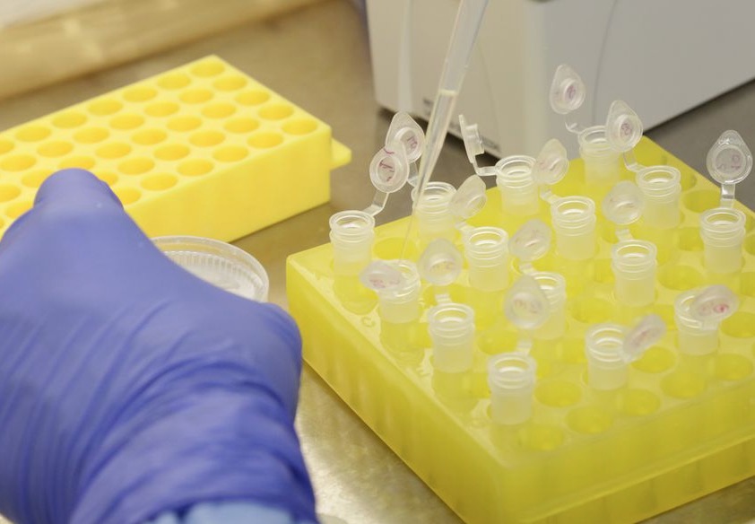 Uruguai decide fechar parcialmente as fronteiras após primeiros casos de coronavírus