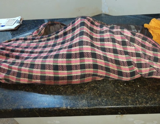 Árvore desaba e mata homem esmagado em fazenda no Amazonas