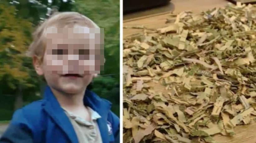 Bebê tritura mais de R$ 5 mil que os pais estavam economizando