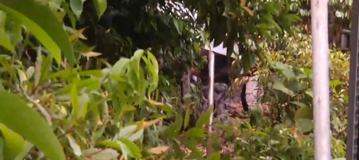 Mulher semi nua é encontrada dentro de saco em área de mata em Manaus 