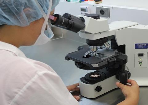 Pesquisadores começam a decifrar identidade do novo coronavírus no Brasil