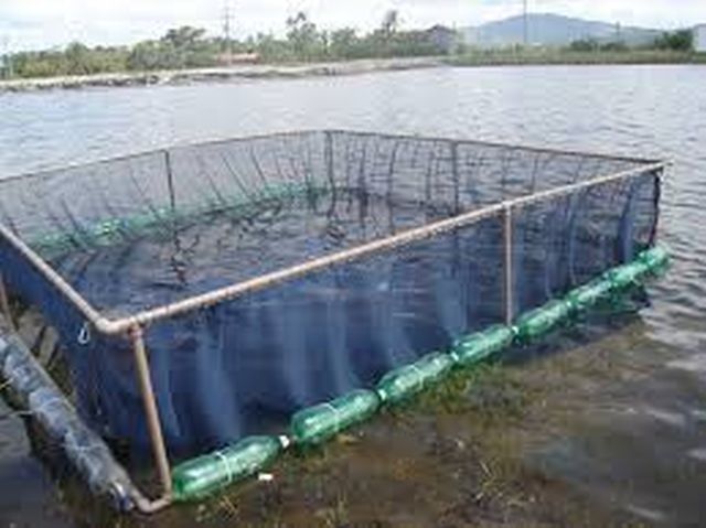 No Amazonas, professor é condenado por não prestar contas de recursos